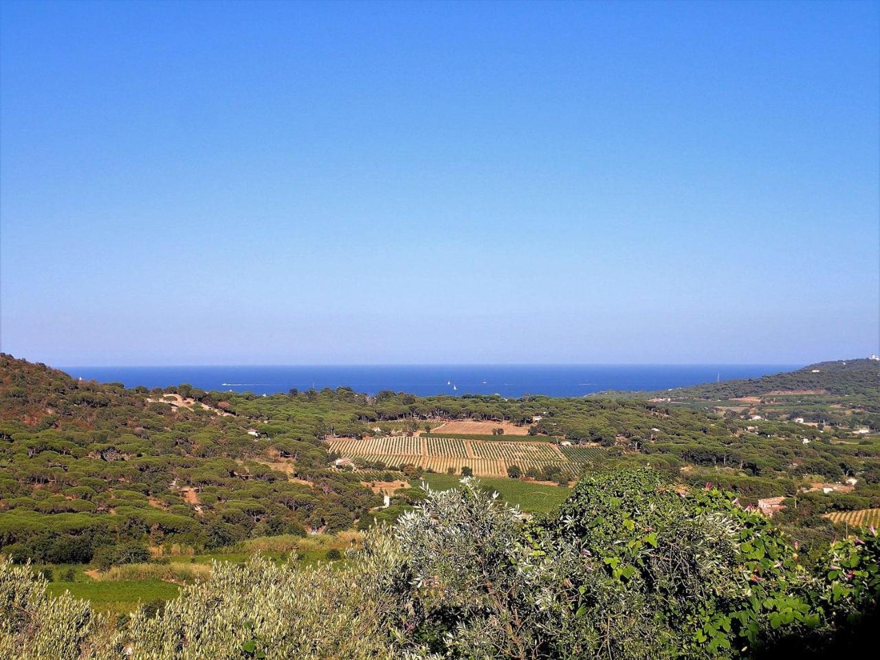 Village Vacances De Ramatuelle - Le Sentier Des Pins Buitenkant foto